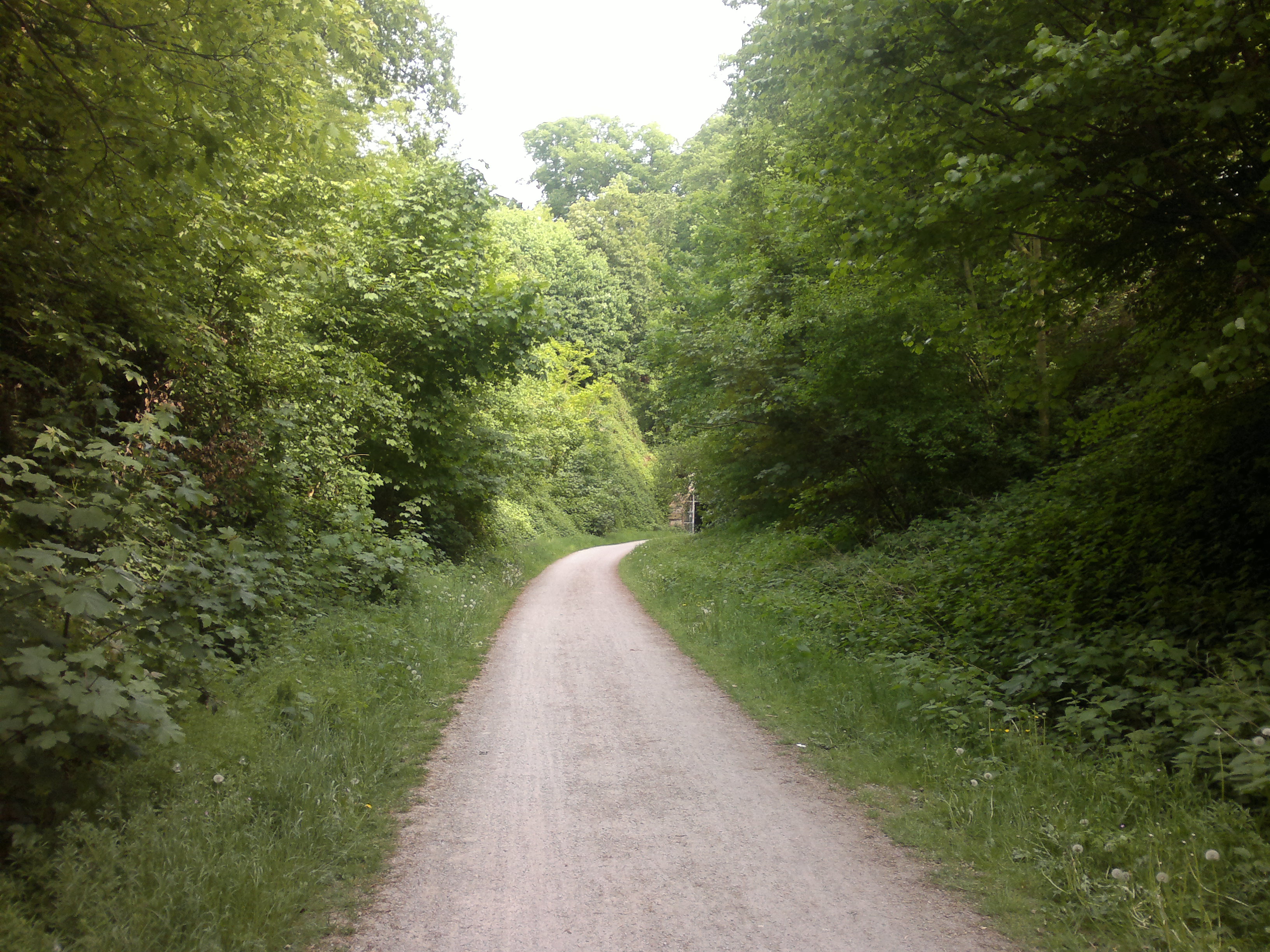 Weg zum Schulenbergtunnel