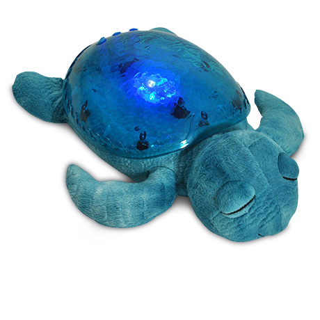 Tranquil Turtle