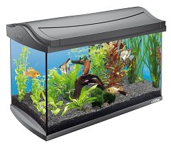 AquaArt Aquarium-Komplett-Set 60 L, modernes Design in Verbindung mit innovativer Technik und einfacher Pflege, anthrazit