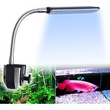 18 Weiße+ 6 Blaue 24Leds 1.5W LED Aquarium Klemmleuchte Lampe Licht Fische Tank Beleuchtung mit flexiblem Tastenschalter für Aquarien Fish Tank