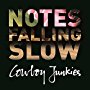 Notes Falling Slow (Ltd 4cd Boxset)