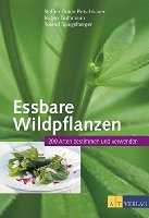 Essbare Wildpflanzen Ausgabe: 200 Arten bestimmen und verwenden
