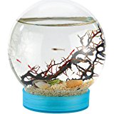 Évivo Autarkes Ökosystem: Geschlossene Biosphäre mit Garnelen