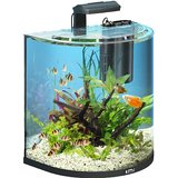 Tetra AquaArt Explorer Line Aquarium Komplett-Set 60 Liter anthrazit (gewölbte Frontscheibe, langlebige LED-Beleuchtung, ideal für die Haltung von tropischen Zierfischen)