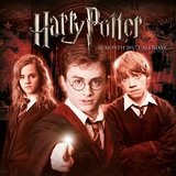 Harry Potter Official 2017 Square Calendar (Calendar 2017)