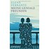 Meine geniale Freundin: Band 1 der Neapolitanischen Saga (Kindheit und fr&uuml;he Jugend) (Neapolitanische Saga)