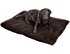 Wellington of Bilmore Thermodecke Hundekissen Dogbed