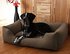 Knuffelwuff Hundebett Dreamline