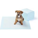 AmazonBasics Puppy Pads Trainingsunterlagen f&uuml;r Welpen