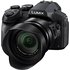 Panasonic LUMIX DMC-FZ300EGK Premium-Bridgekamera (12 Megapixel, 24x opt. Zoom, LEICA DC Weitwinkel-Objektiv, 4K Foto/Video,Staub-/Spritzwasserschutz) schwarz